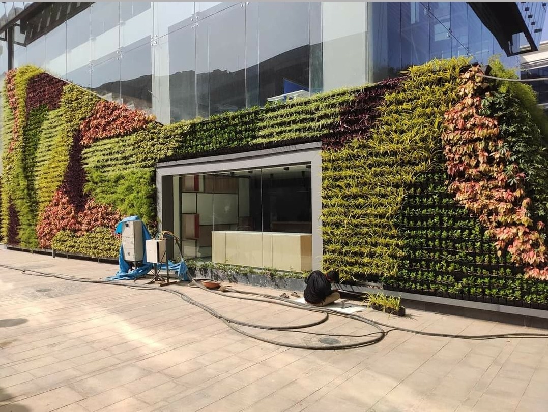vertical-gardening-company-in-delhi-india